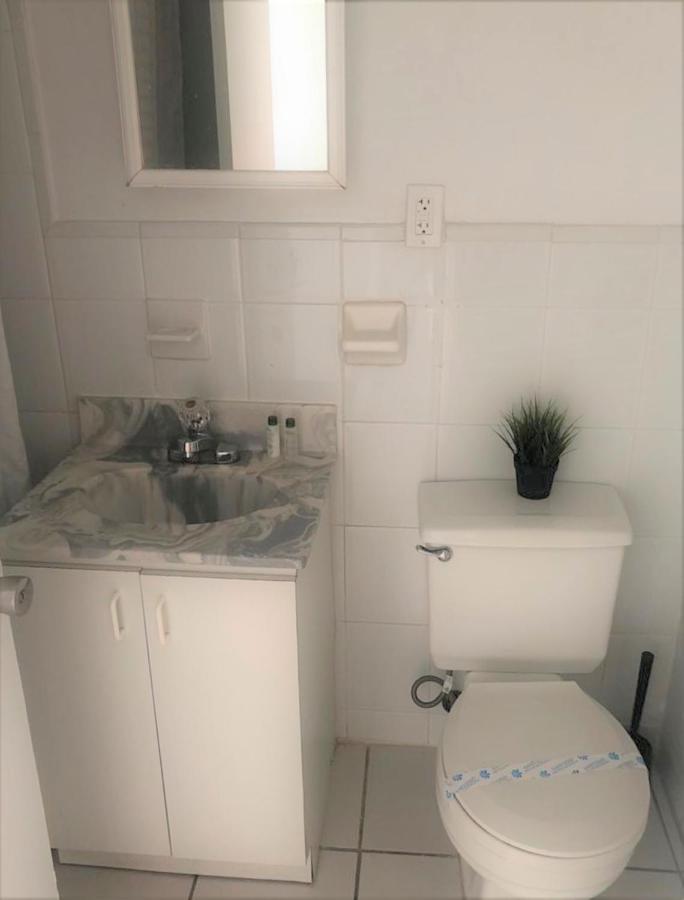 מיאמי ביץ' Beachfront Studios Casablanca Rentals מראה חיצוני תמונה